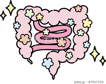 腸のイラスト 腸のイラスト 87937359