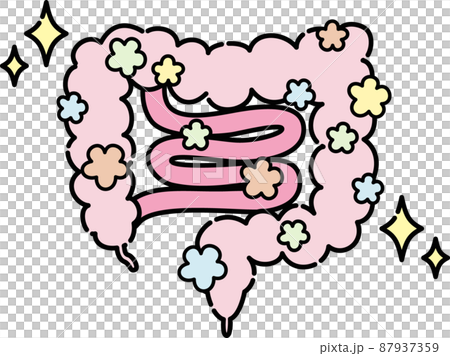 腸のイラスト 腸のイラスト 87937359