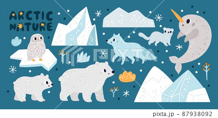 Cute arctic nature. Northern animal characters. Icebergs and ice floes. White bears with cub and fox. Cold climate inhabitants. Owl and ocean narwhal. Vector funny polar wild fauna set 87938092