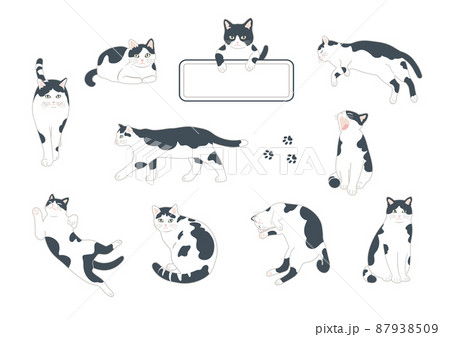 白黒猫のイラストセット 87938509