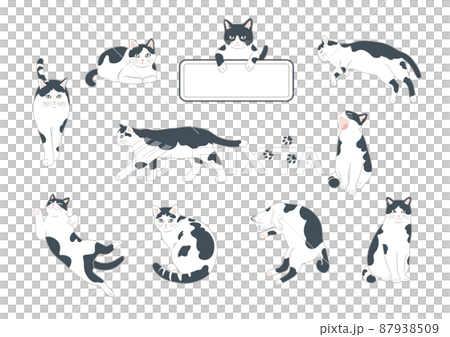 白黒猫のイラストセット 87938509