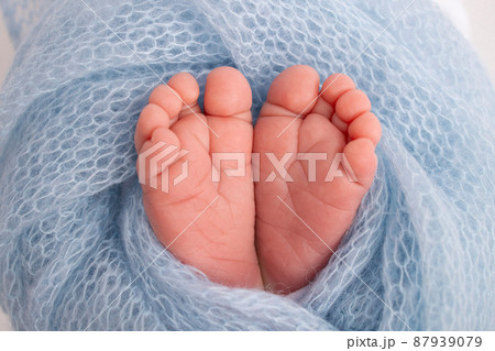 The tiny foot of a newborn. Soft feet of a newborn in a blue woolen blanket. Close up of toes, heels and feet of a newborn baby. Studio Macro photography. Woman's happiness. Concept. 87939079