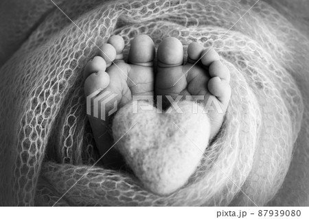 The tiny foot of a newborn baby. Soft feet of a new born in a wool blanket. Close up of toes, heels and feet of a newborn. Knitted heart in the legs of baby. Macro photography. Black and white. 87939080