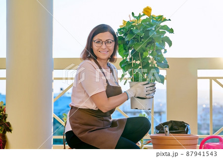 Woman planting caring for a house plant in a pot, on the terrace Woman planting caring for a house plant in a pot, on the terrace 87941543