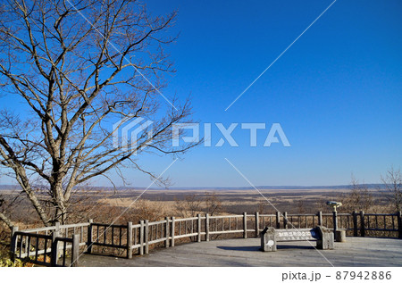 12月の釧路湿原 87942886