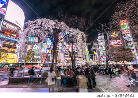 日本の東京都市景観 3月21日まん延防止最終日。賑わう渋谷…ハチ公…記念のしだれ桜が見頃に=21日 日本の東京都市景観 3月21日まん延防止最終日。賑わう渋谷…ハチ公…記念のしだれ桜が見頃に=21日 87943432