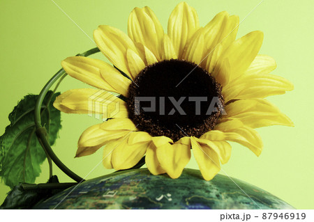 地球儀とひまわり（造花） 87946919