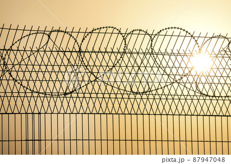 Barbed wire wall against the backdrop of the setting sun Barbed wire wall against the backdrop of the setting sun 87947048
