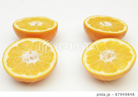 伊予柑 伊予柑 87949848