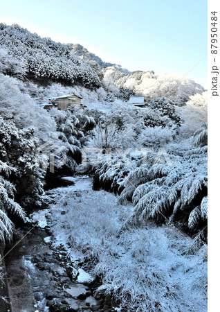 丹沢の麓の村の雪景色 丹沢の麓の村の雪景色 87950484