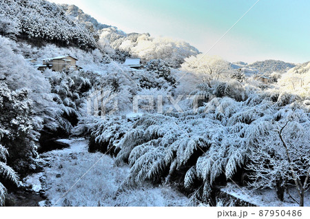 丹沢の麓の村の雪景色 丹沢の麓の村の雪景色 87950486