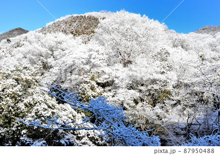 丹沢の麓の村の雪景色 87950488