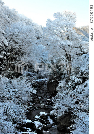 丹沢の麓の村の雪景色 丹沢の麓の村の雪景色 87950493