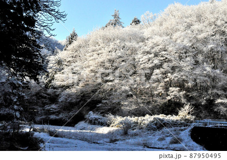 丹沢の麓の村の雪景色 丹沢の麓の村の雪景色 87950495