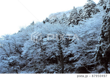丹沢の麓の村の雪景色 丹沢の麓の村の雪景色 87950497