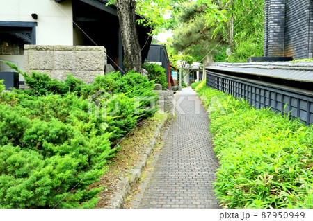 小布施・栗の小径 87950949