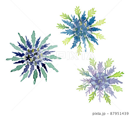 青い花（エリンジウム）の水彩イラスト 87951439