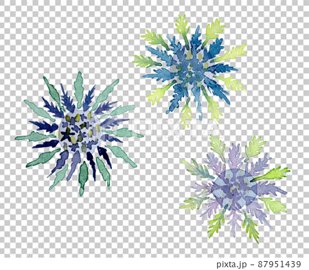 青い花（エリンジウム）の水彩イラスト 87951439