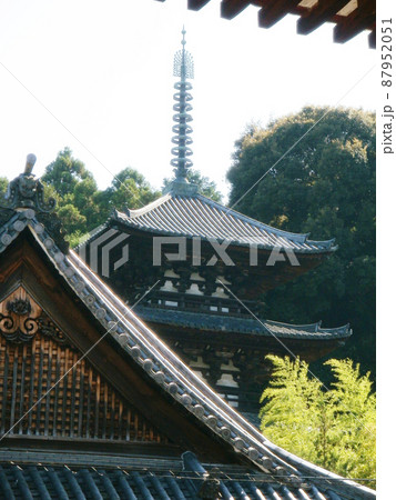 当麻寺 本堂から西塔を望む 奈良県葛城市 当麻寺 本堂から西塔を望む 奈良県葛城市 87952051