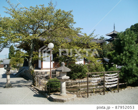 当麻寺 金堂と東塔 奈良県葛城市 当麻寺 金堂と東塔 奈良県葛城市 87952053