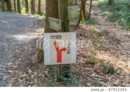 万葉自然公園かたくりの里の分岐 87952263