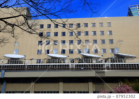 渋谷風景 87952302