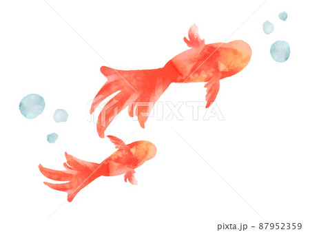 金魚　水彩風　かわいい　アイコン 87952359