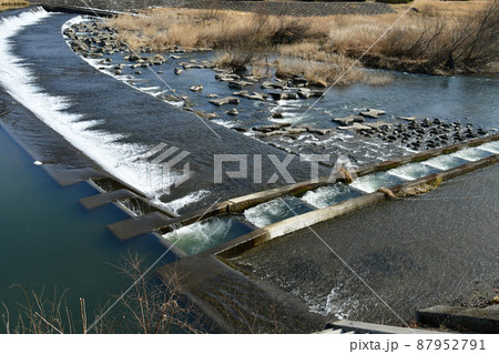 杜の都仙台　広瀬川　郡山堰の魚道 87952791