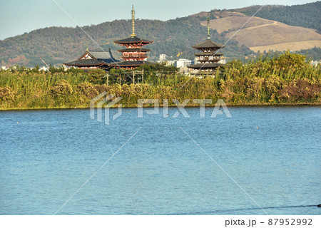 《奈良県》 世界文化遺産 薬師寺の東塔・西塔/ 87952992