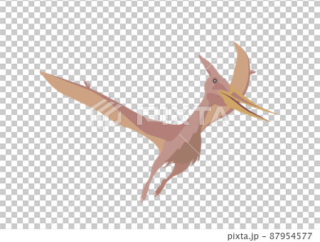 Dinosaur, Pteranodon 87954577