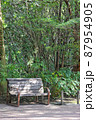 木々に囲まれた日陰のベンチ（縦） 87954905