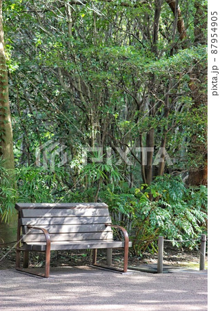 木々に囲まれた日陰のベンチ（縦） 87954905