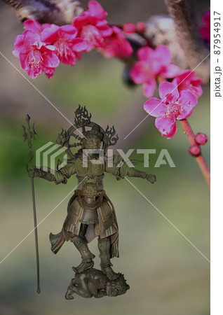 紅梅と持国天 87954917