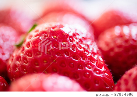 いちご【マクロ】 87954996