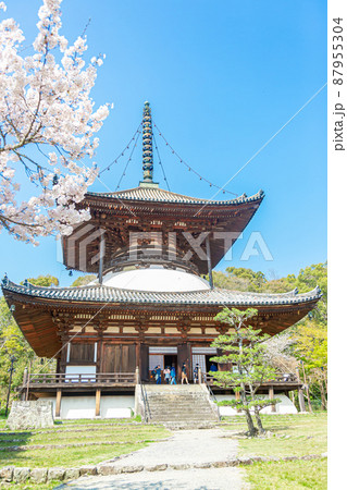 根来寺の大毘廬遮那法界体性塔 87955304