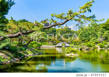 広島県 縮景園 ~濯纓池・跨虹橋~ 広島県 縮景園 ~濯纓池・跨虹橋~ 87955537