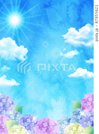 青空とアジサイの梅雨のベクターイラスト背景(水彩) 青空とアジサイの梅雨のベクターイラスト背景(水彩) 87955621