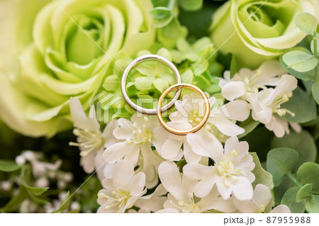 グリーンの花と結婚指輪 wedding ring グリーンの花と結婚指輪 wedding ring 87955988