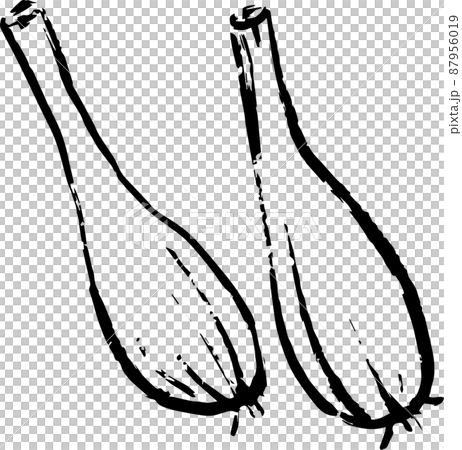 島らっきょう イラストベクター素材 島らっきょう イラストベクター素材 87956019