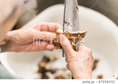 里芋の皮を向くシニア女性 87956432