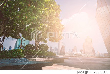 Beautiful big tree and plants on the rooftop of a modern glass building in Asia, adjusted image warm lighting ambient, space for text, low angle view to see sky the concept for corporate buildings Beautiful big tree and plants on the rooftop of a modern glass building in Asia, adjusted image warm lighting ambient, space for text, low angle view to see sky the concept for corporate buildings 87956612