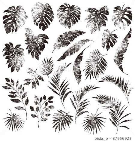 トロピカルリーフの素材集, トロピカルリーフの素材集, 87956923