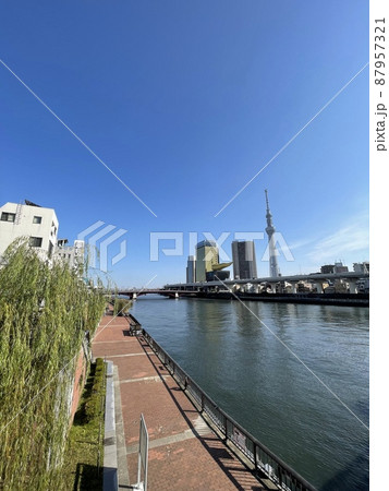 隅田川ごしの東京スカイツリー 87957321