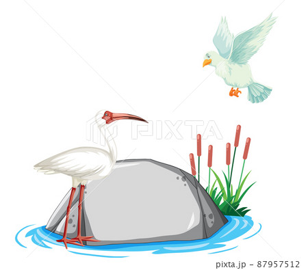 Two birds flying over rock 87957512