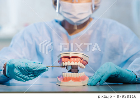 A dental doctor wearing blue gloves and a mask holds a dental model of the upper and lower jaws and a dental mirror A dental doctor wearing blue gloves and a mask holds a dental model of the upper and lower jaws and a dental mirror 87958116