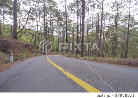 Landscape photo: the way to the top of Langbiang. Landscape photo: the way to the top of Langbiang. 87958973