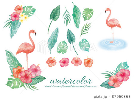 水彩手書きのフラミンゴと観葉植物のイラスト素材セット 87960363