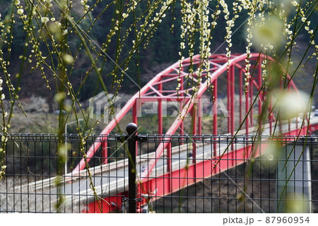 梅の頃・月ヶ瀬渓谷 87960954