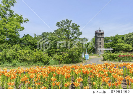 百合が原公園　札幌市 87961469