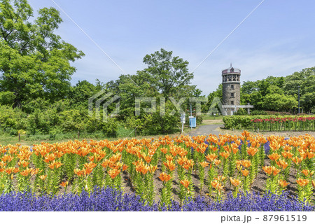 百合が原公園　札幌市 87961519
